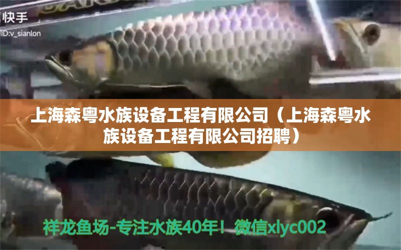 上海森粤水族设备工程有限公司（上海森粤水族设备工程有限公司招聘）