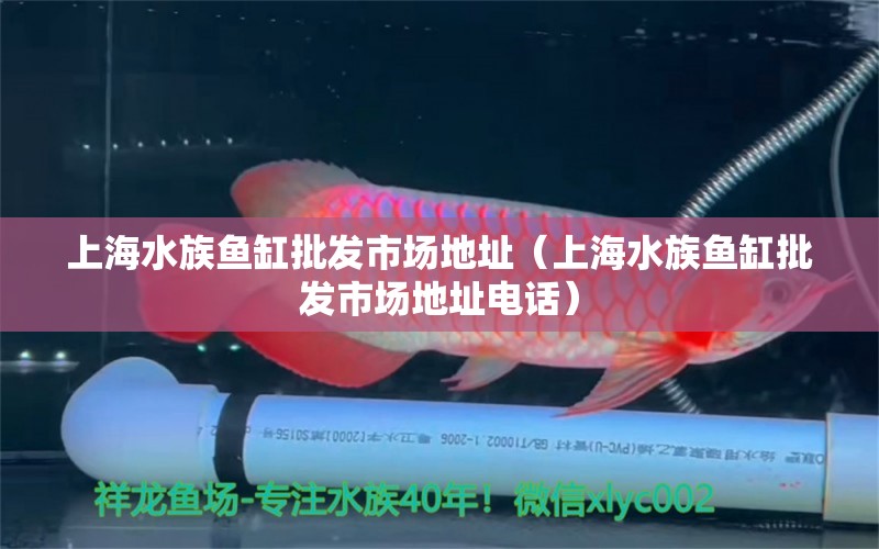 上海水族鱼缸批发市场地址（上海水族鱼缸批发市场地址电话）