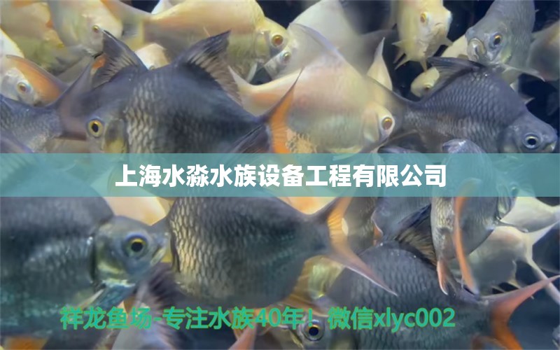 上海水淼水族设备工程有限公司