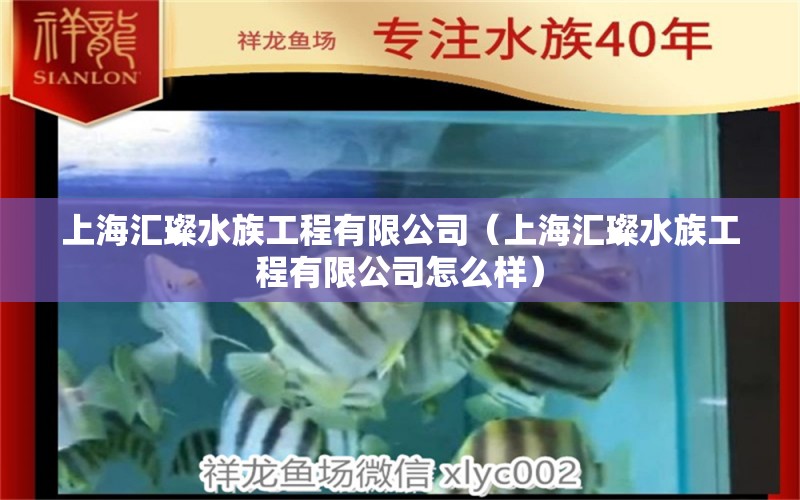 上海汇璨水族工程有限公司（上海汇璨水族工程有限公司怎么样）