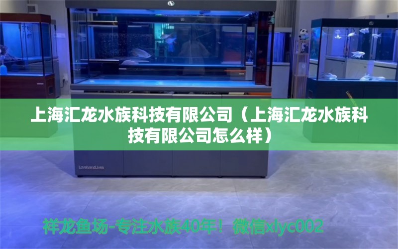 上海汇龙水族科技有限公司（上海汇龙水族科技有限公司怎么样）