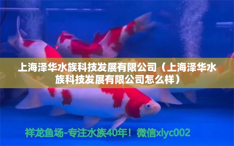 上海泽华水族科技发展有限公司（上海泽华水族科技发展有限公司怎么样）