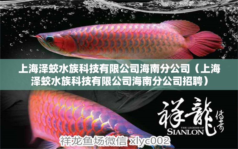 上海泽蛟水族科技有限公司海南分公司（上海泽蛟水族科技有限公司海南分公司招聘）