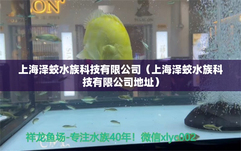 上海泽蛟水族科技有限公司（上海泽蛟水族科技有限公司地址）