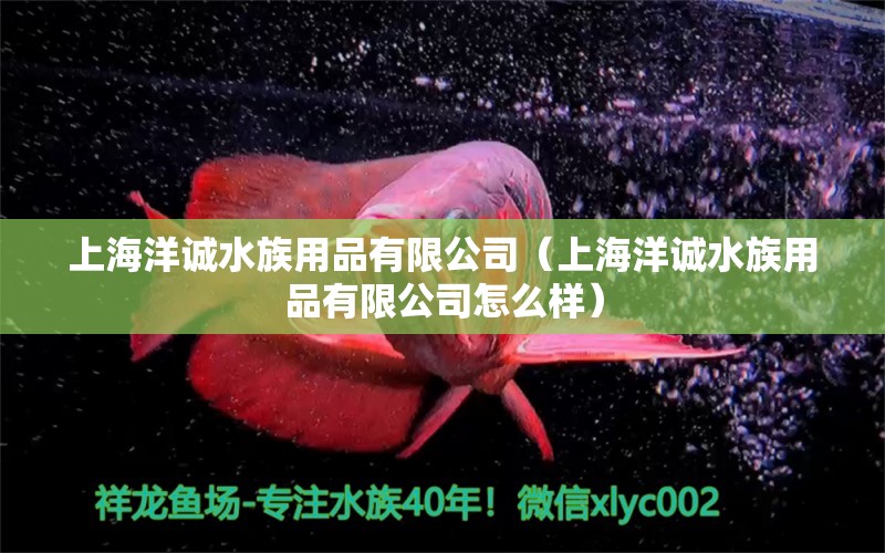 上海洋诚水族用品有限公司（上海洋诚水族用品有限公司怎么样）