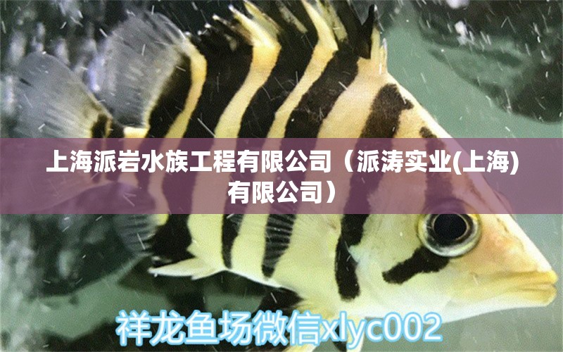 上海派岩水族工程有限公司（派涛实业(上海)有限公司） 全国水族馆企业名录