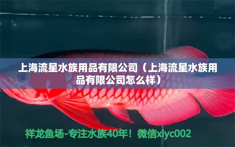 上海流星水族用品有限公司（上海流星水族用品有限公司怎么样）