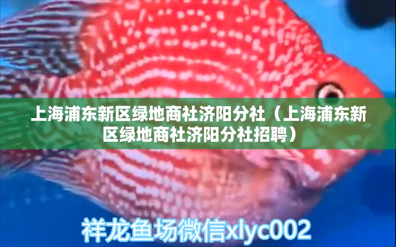 上海浦东新区绿地商社济阳分社（上海浦东新区绿地商社济阳分社招聘）