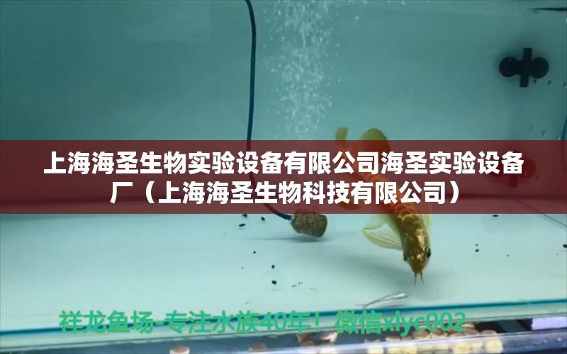 上海海圣生物实验设备有限公司海圣实验设备厂（上海海圣生物科技有限公司）