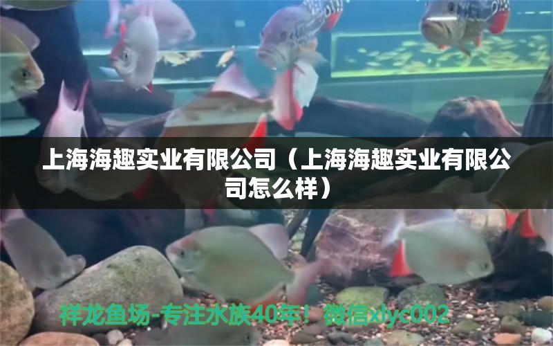 上海海趣实业有限公司（上海海趣实业有限公司怎么样） 全国水族馆企业名录