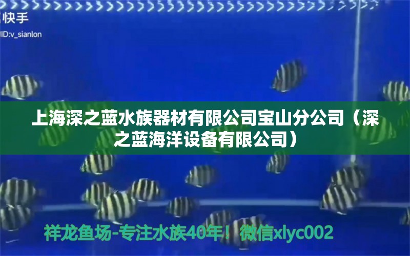 上海深之蓝水族器材有限公司宝山分公司（深之蓝海洋设备有限公司）