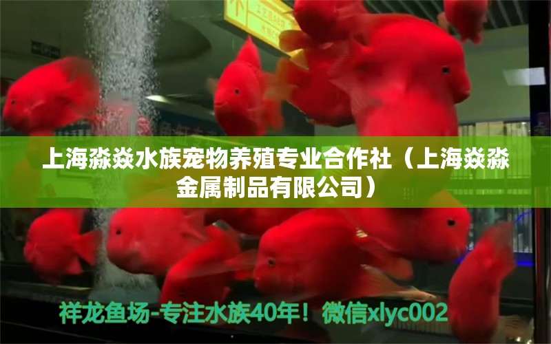 上海淼焱水族宠物养殖专业合作社（上海焱淼金属制品有限公司）