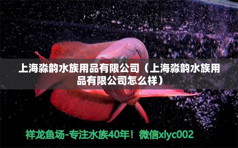 上海淼韵水族用品有限公司（上海淼韵水族用品有限公司怎么样） 水族用品