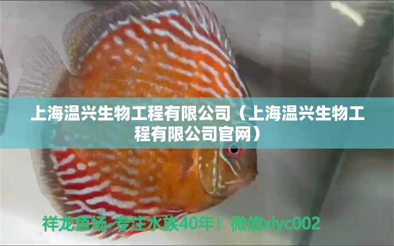 上海温兴生物工程有限公司（上海温兴生物工程有限公司官网）