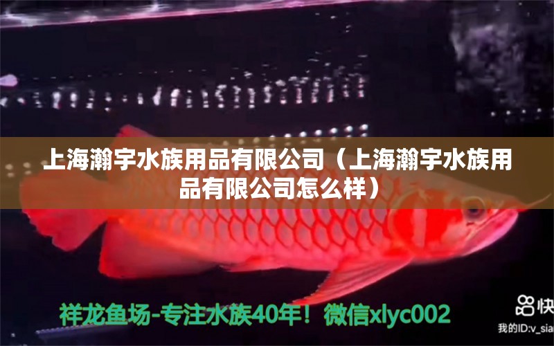 上海瀚宇水族用品有限公司（上海瀚宇水族用品有限公司怎么样）