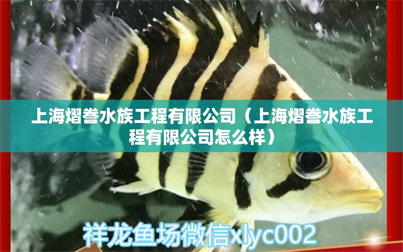 上海熠誊水族工程有限公司（上海熠誊水族工程有限公司怎么样） 全国水族馆企业名录