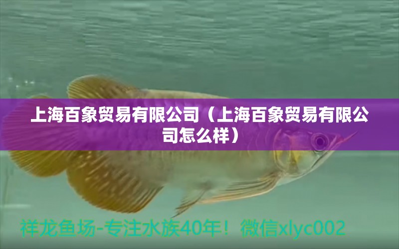 上海百象贸易有限公司（上海百象贸易有限公司怎么样） 全国水族馆企业名录