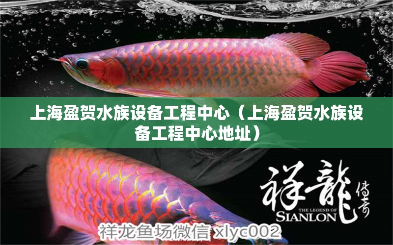 上海盈贺水族设备工程中心（上海盈贺水族设备工程中心地址）