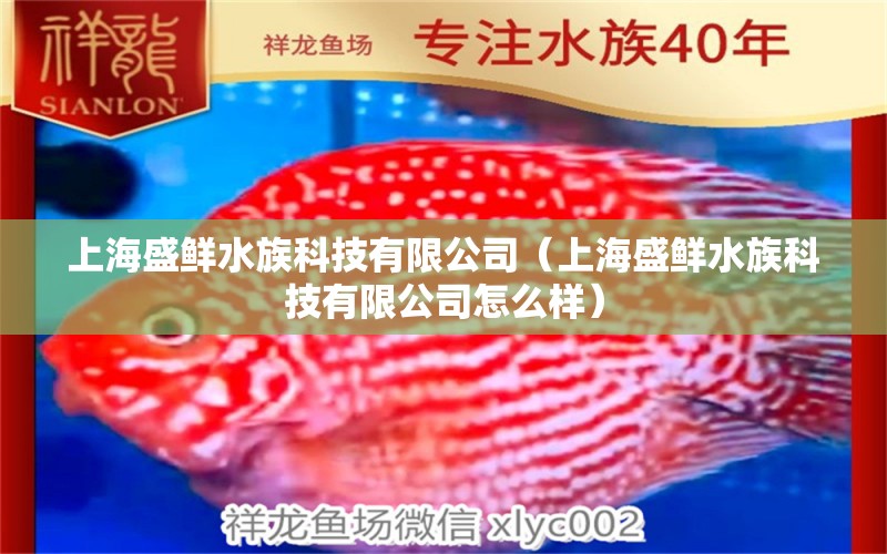 上海盛鲜水族科技有限公司（上海盛鲜水族科技有限公司怎么样） 全国水族馆企业名录