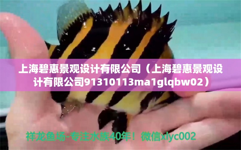 上海碧惠景观设计有限公司（上海碧惠景观设计有限公司91310113ma1glqbw02）