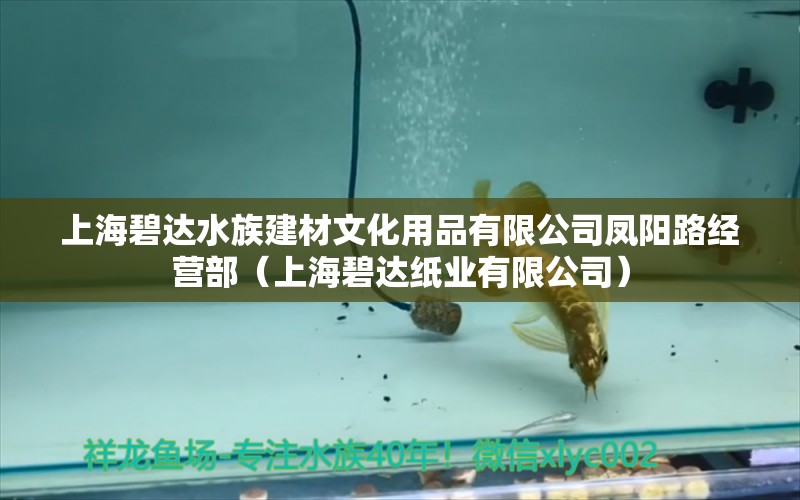 上海碧达水族建材文化用品有限公司凤阳路经营部（上海碧达纸业有限公司）