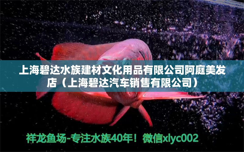 上海碧达水族建材文化用品有限公司阿庭美发店（上海碧达汽车销售有限公司）