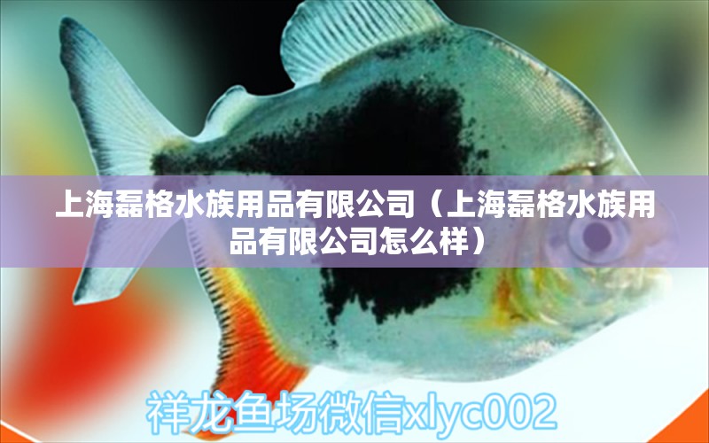 上海磊格水族用品有限公司（上海磊格水族用品有限公司怎么样）