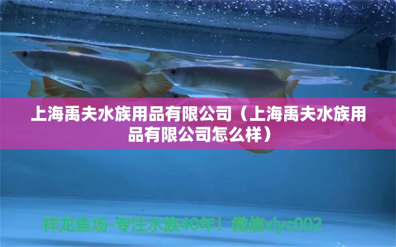 上海禹夫水族用品有限公司（上海禹夫水族用品有限公司怎么样）