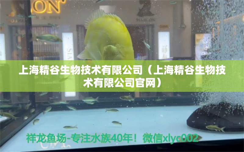 上海精谷生物技术有限公司（上海精谷生物技术有限公司官网）