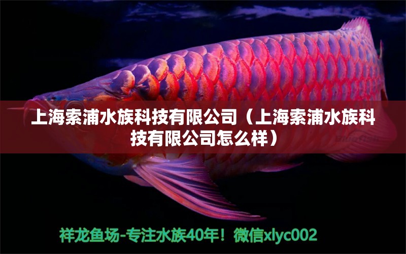 上海索浦水族科技有限公司（上海索浦水族科技有限公司怎么样）