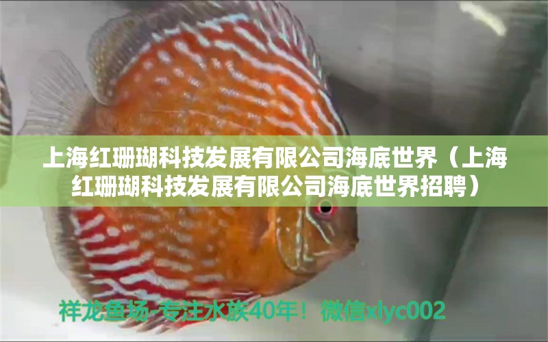 上海红珊瑚科技发展有限公司海底世界（上海红珊瑚科技发展有限公司海底世界招聘）