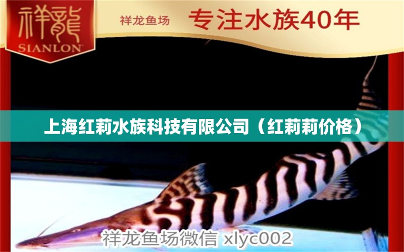 上海红莉水族科技有限公司（红莉莉价格） 全国水族馆企业名录