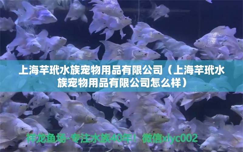 上海芊玳水族宠物用品有限公司（上海芊玳水族宠物用品有限公司怎么样）