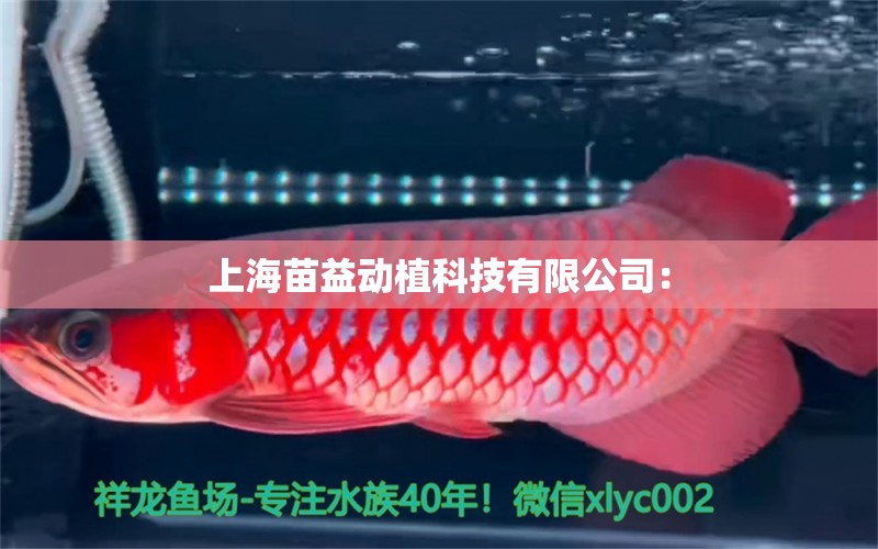 上海苗益动植科技有限公司： 全国水族馆企业名录