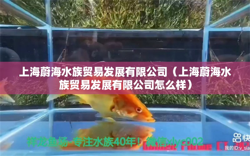 上海蔚海水族贸易发展有限公司（上海蔚海水族贸易发展有限公司怎么样）