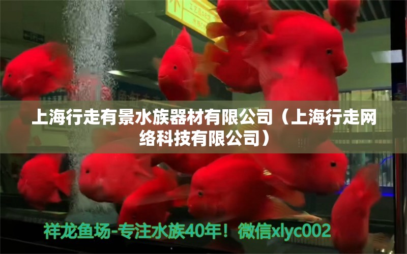 上海行走有景水族器材有限公司（上海行走网络科技有限公司）