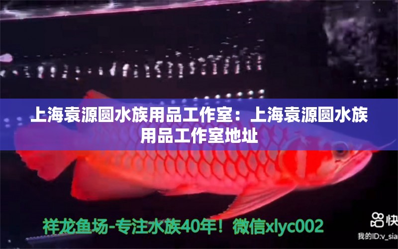 上海袁源圆水族用品工作室：上海袁源圆水族用品工作室地址 水族用品