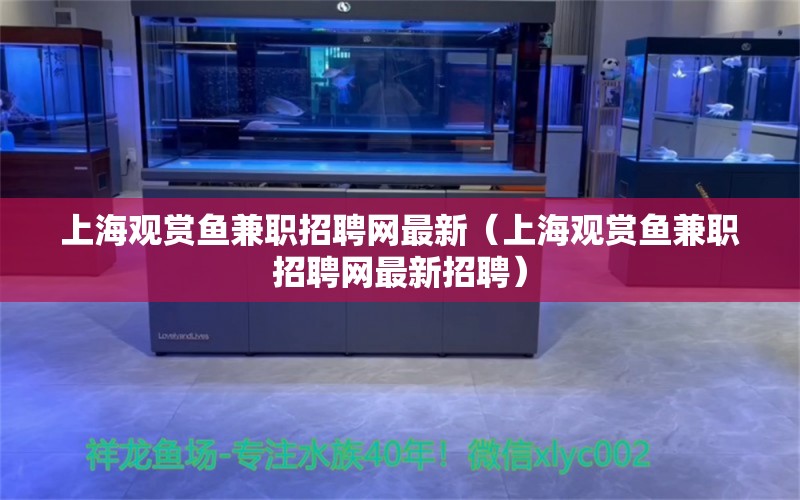 上海观赏鱼兼职招聘网最新（上海观赏鱼兼职招聘网最新招聘）