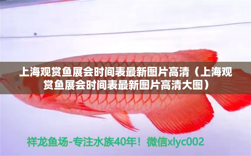 上海观赏鱼展会时间表最新图片高清（上海观赏鱼展会时间表最新图片高清大图） 观赏鱼市场（混养鱼）