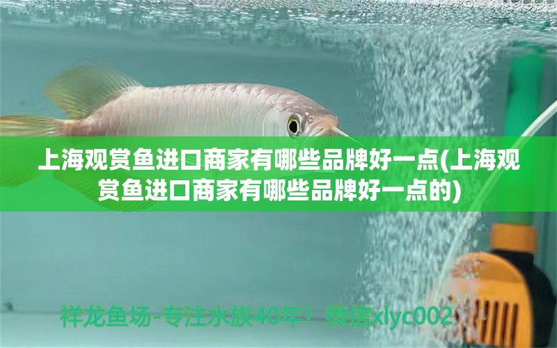 上海观赏鱼进口商家有哪些品牌好一点(上海观赏鱼进口商家有哪些品牌好一点的)