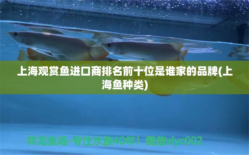 上海观赏鱼进口商排名前十位是谁家的品牌(上海鱼种类) 观赏鱼进出口 第1张