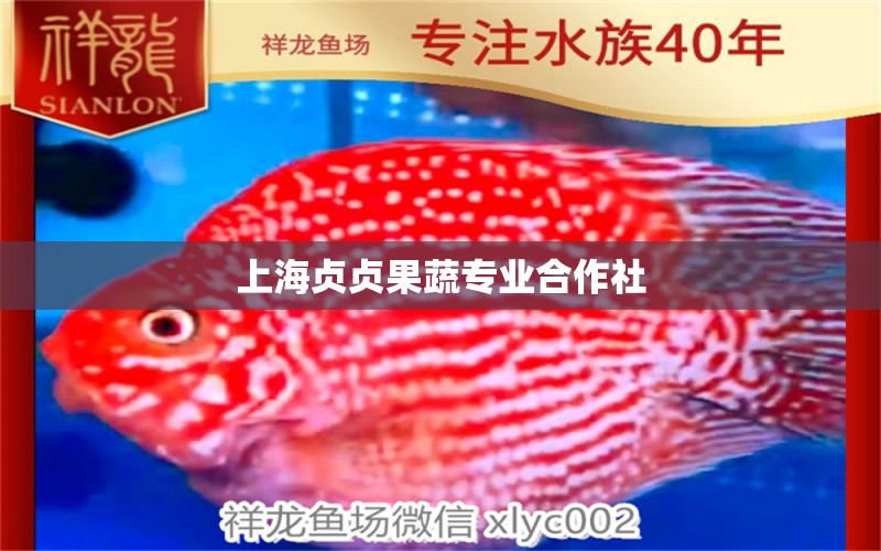 上海贞贞果蔬专业合作社 全国水族馆企业名录 第1张