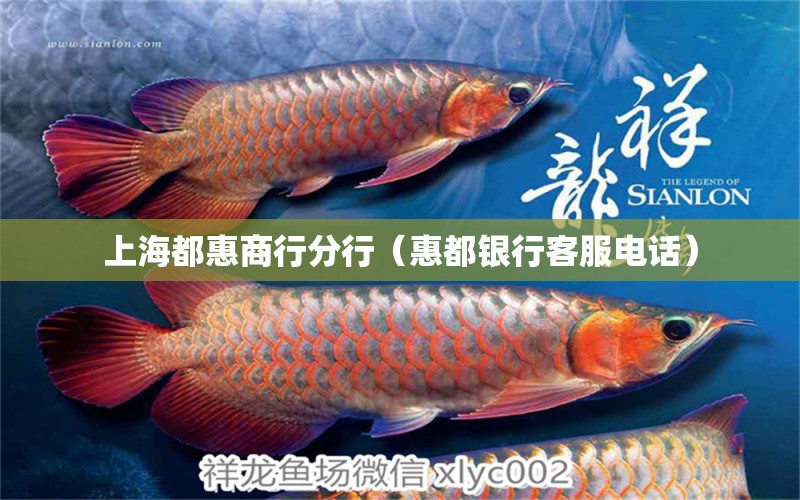 上海都惠商行分行（惠都银行客服电话） 全国水族馆企业名录