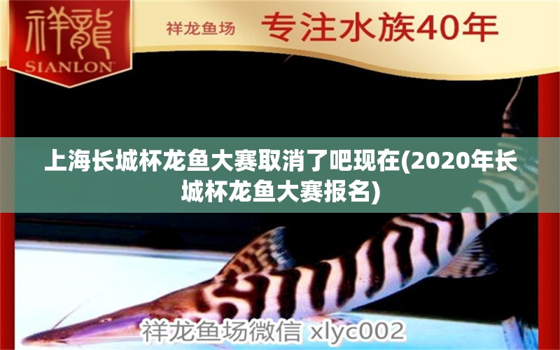 上海长城杯龙鱼大赛取消了吧现在(2020年长城杯龙鱼大赛报名) 2024第28届中国国际宠物水族展览会CIPS（长城宠物展2024 CIPS）