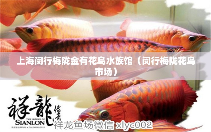 上海闵行梅陇金有花鸟水族馆（闵行梅陇花鸟市场） 全国水族馆企业名录