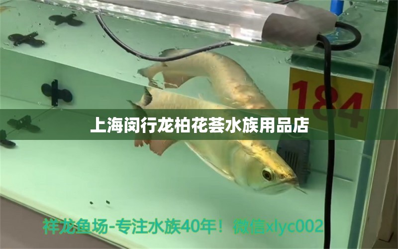 上海闵行龙柏花荟水族用品店