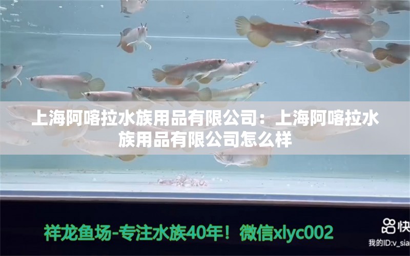 上海阿喀拉水族用品有限公司：上海阿喀拉水族用品有限公司怎么样