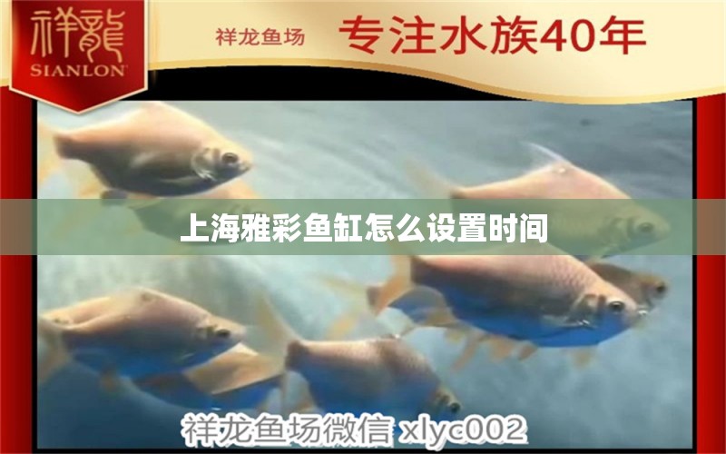 上海雅彩鱼缸怎么设置时间 水族问答 第2张