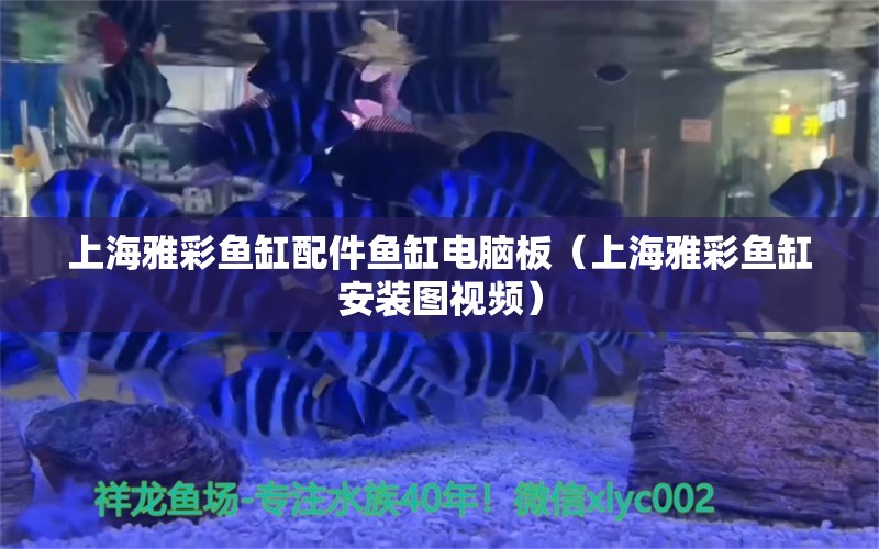 上海雅彩鱼缸配件鱼缸电脑板（上海雅彩鱼缸安装图视频）