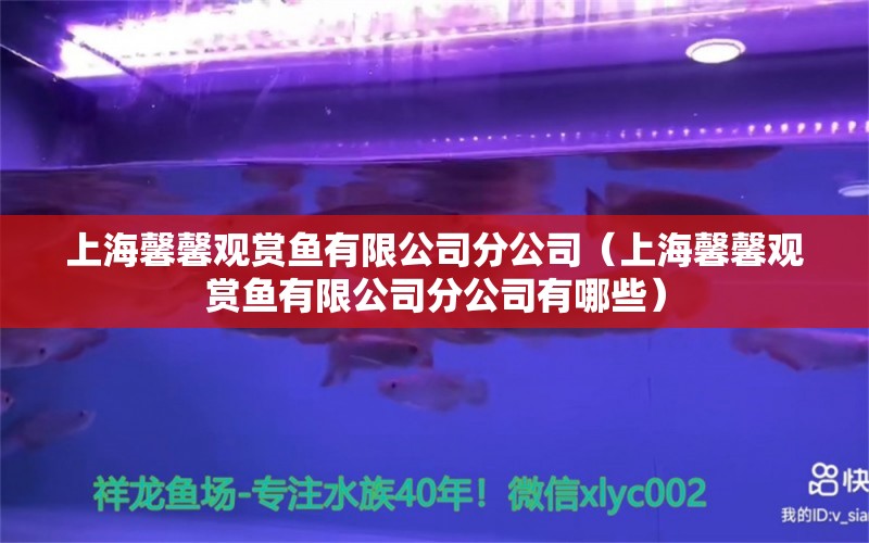 上海馨馨观赏鱼有限公司分公司（上海馨馨观赏鱼有限公司分公司有哪些） 全国水族馆企业名录